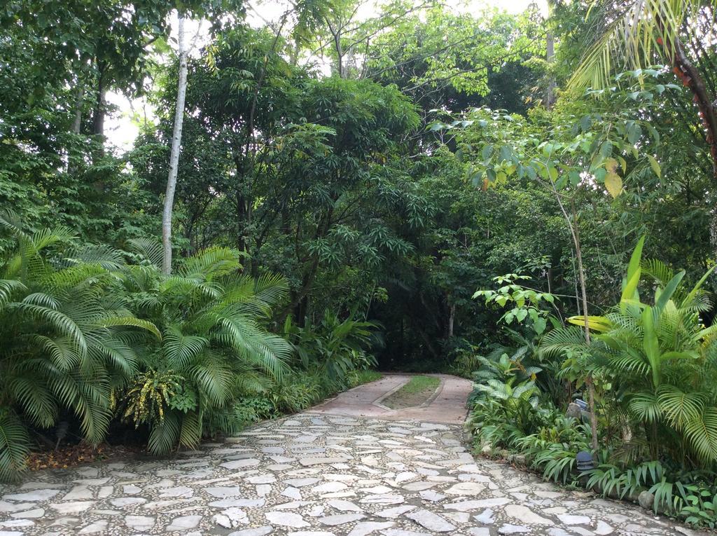 Hotel Boutique Quinta Chanabnal Palenque Buitenkant foto